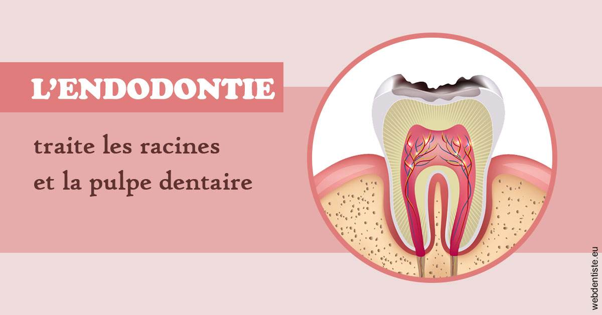 https://www.dralielhusseini.com/L'endodontie 2