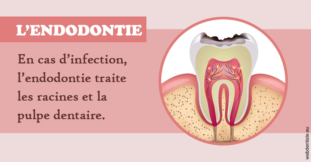 https://www.dralielhusseini.com/L'endodontie 2